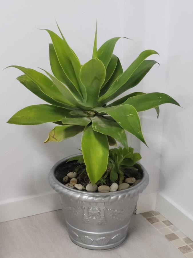וחר דה לה פרונטרה Apartamento Claver מראה חיצוני תמונה